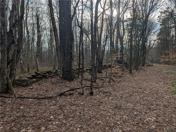 $119,900 | 154 Moon Hill Road, Pharsalia, NY 13801