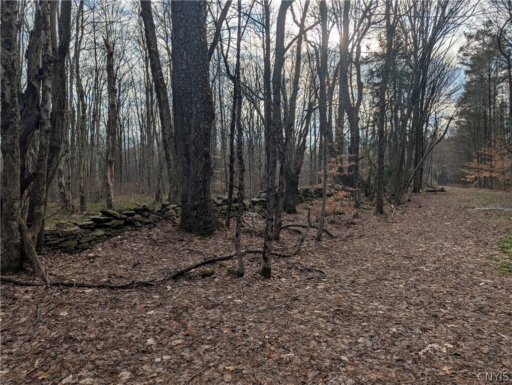 154 Moon Hill Road Pharsalia, NY 13801 - Photo 13 of 39