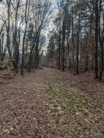 $119,900 | 154 Moon Hill Road, Pharsalia, NY 13801