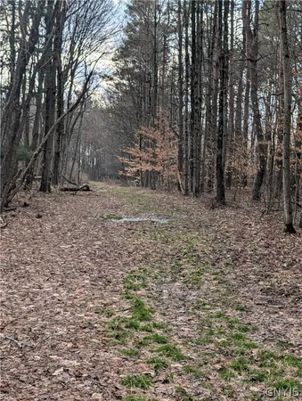 $119,900 | 154 Moon Hill Road, Pharsalia, NY 13801