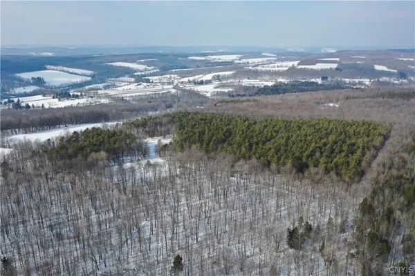 $119,900 | 154 Moon Hill Road, Pharsalia, NY 13801