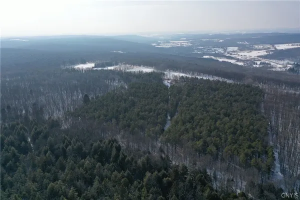 $119,900 | 154 Moon Hill Road, Pharsalia, NY 13801