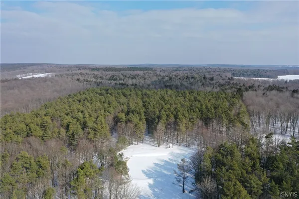 $119,900 | 154 Moon Hill Road, Pharsalia, NY 13801