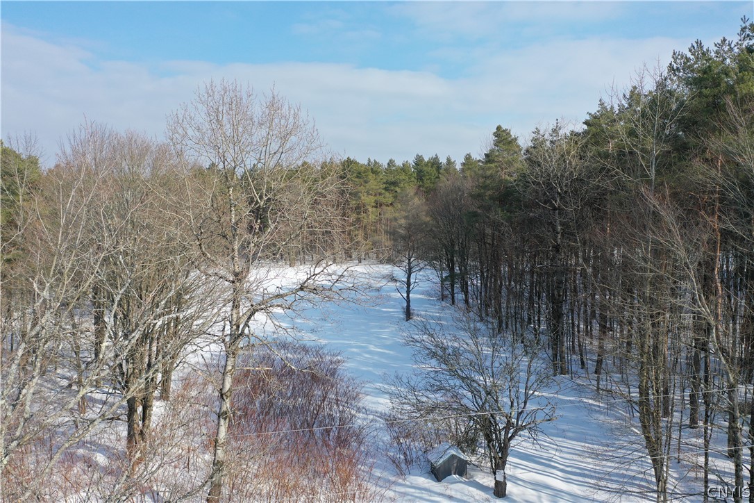 154 Moon Hill Road Pharsalia, NY 13801 - Photo 29 of 39