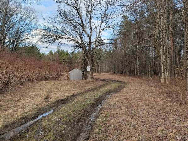 $119,900 | 154 Moon Hill Road, Pharsalia, NY 13801