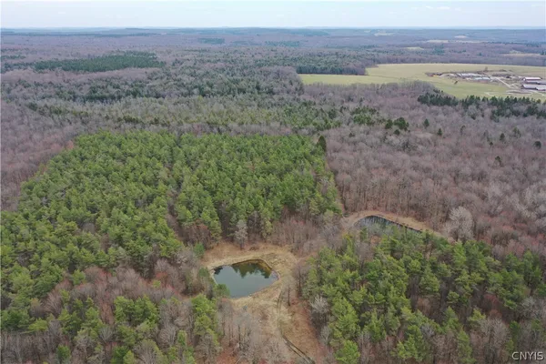 $119,900 | 154 Moon Hill Road, Pharsalia, NY 13801