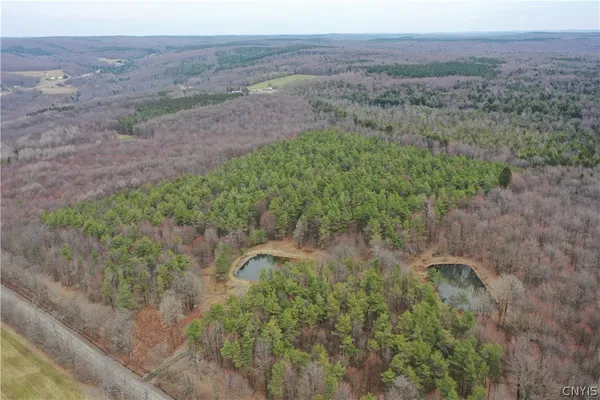 $119,900 | 154 Moon Hill Road, Pharsalia, NY 13801