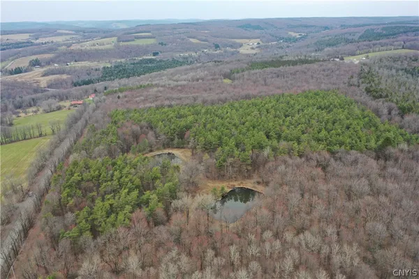 $119,900 | 154 Moon Hill Road, Pharsalia, NY 13801