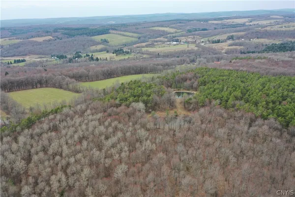 $119,900 | 154 Moon Hill Road, Pharsalia, NY 13801