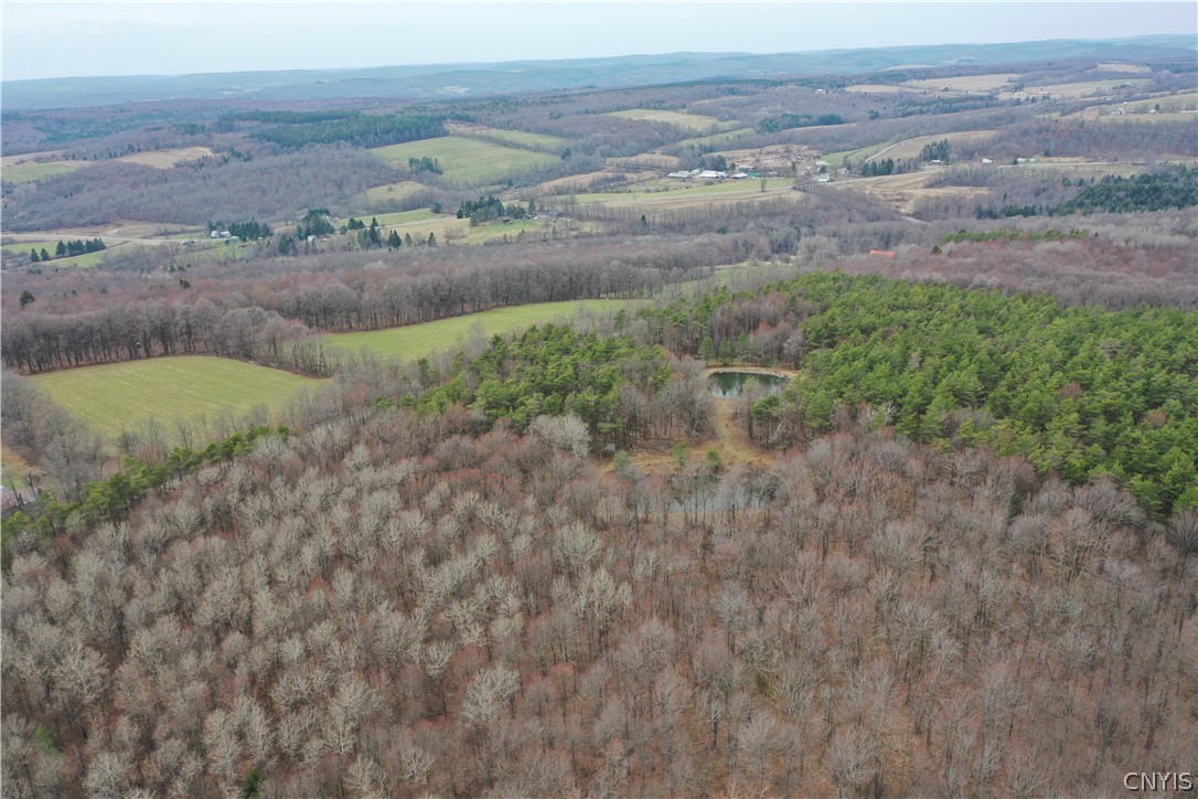 154 Moon Hill Road Pharsalia, NY 13801 - Photo 34 of 39