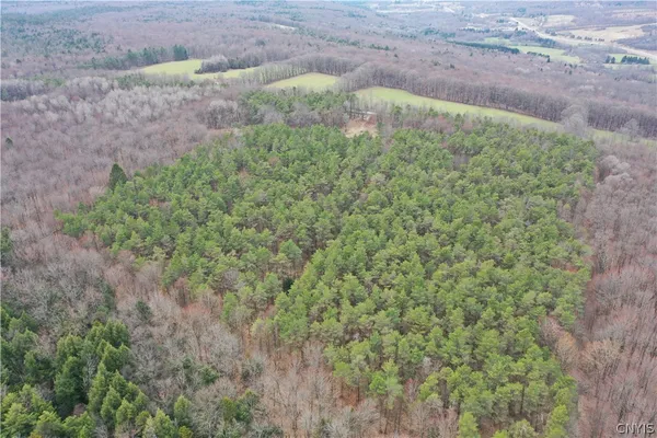 $119,900 | 154 Moon Hill Road, Pharsalia, NY 13801