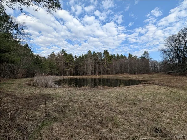 $119,900 | 154 Moon Hill Road, Pharsalia, NY 13801