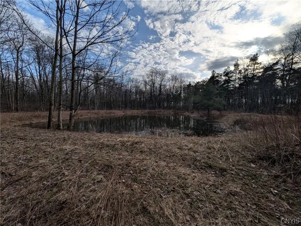 $119,900 | 154 Moon Hill Road, Pharsalia, NY 13801