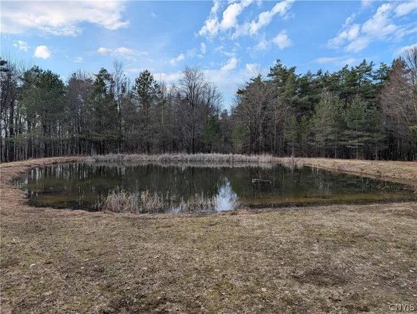 $119,900 | 154 Moon Hill Road, Pharsalia, NY 13801