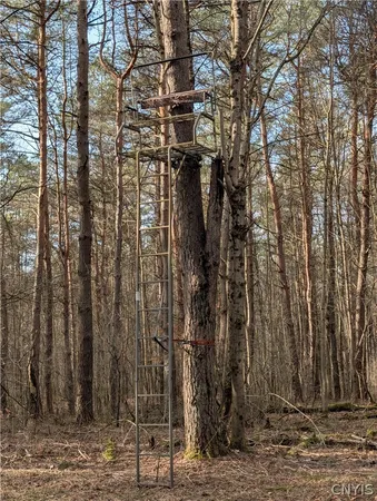 $119,900 | 154 Moon Hill Road, Pharsalia, NY 13801