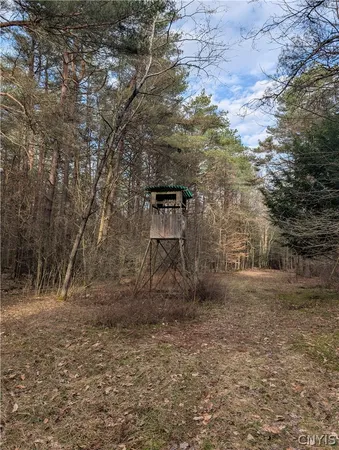 $119,900 | 154 Moon Hill Road, Pharsalia, NY 13801