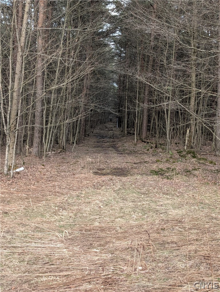 154 Moon Hill Road Pharsalia, NY 13801 - Photo 10 of 39