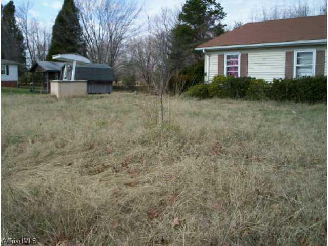 225 Branson Mill Road Randleman, NC 27317 - Photo 4 of 4 Other.