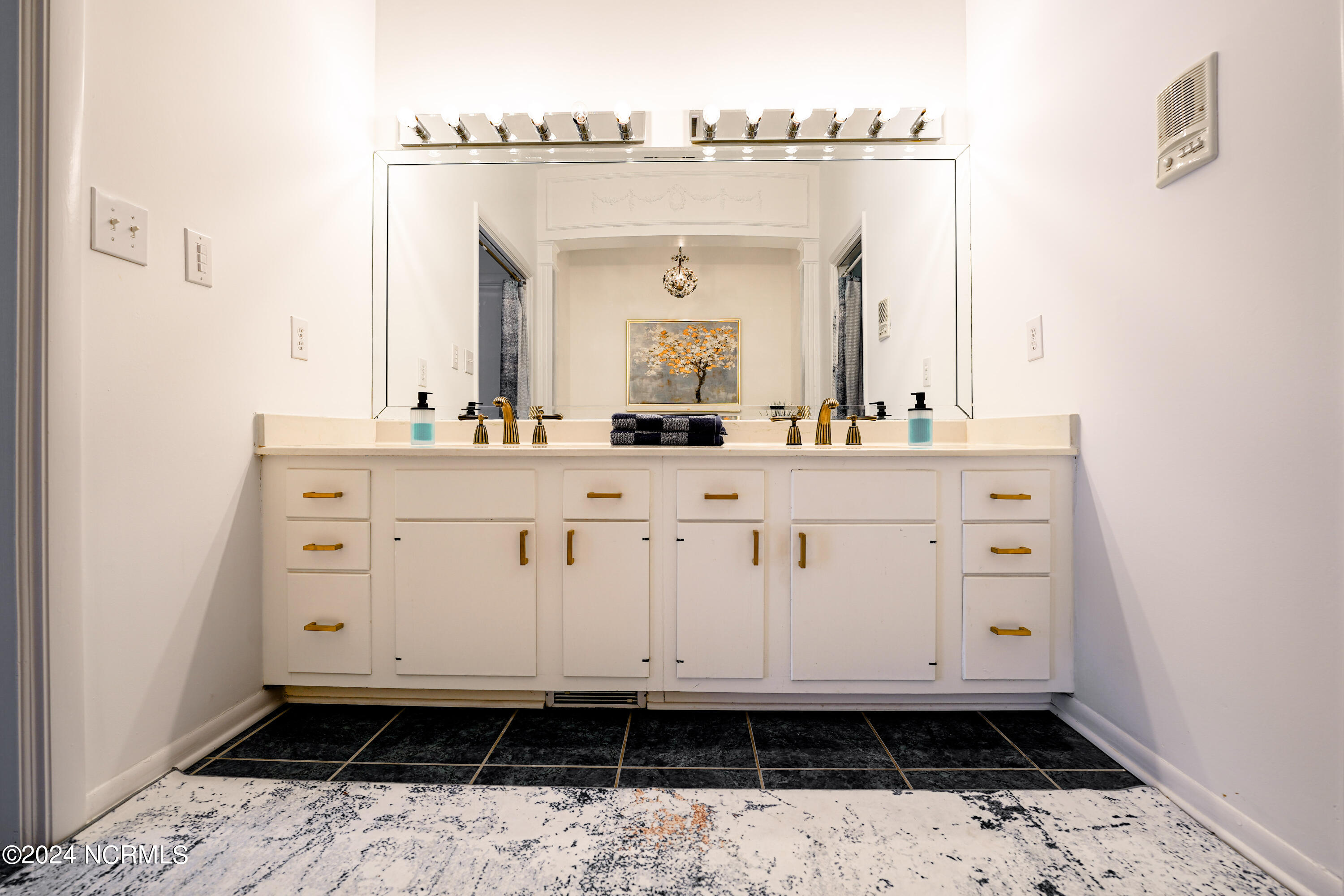 101 Elizabeth Drive Elizabethtown, NC 28337 - Photo 55 of 88 46-DSC00082