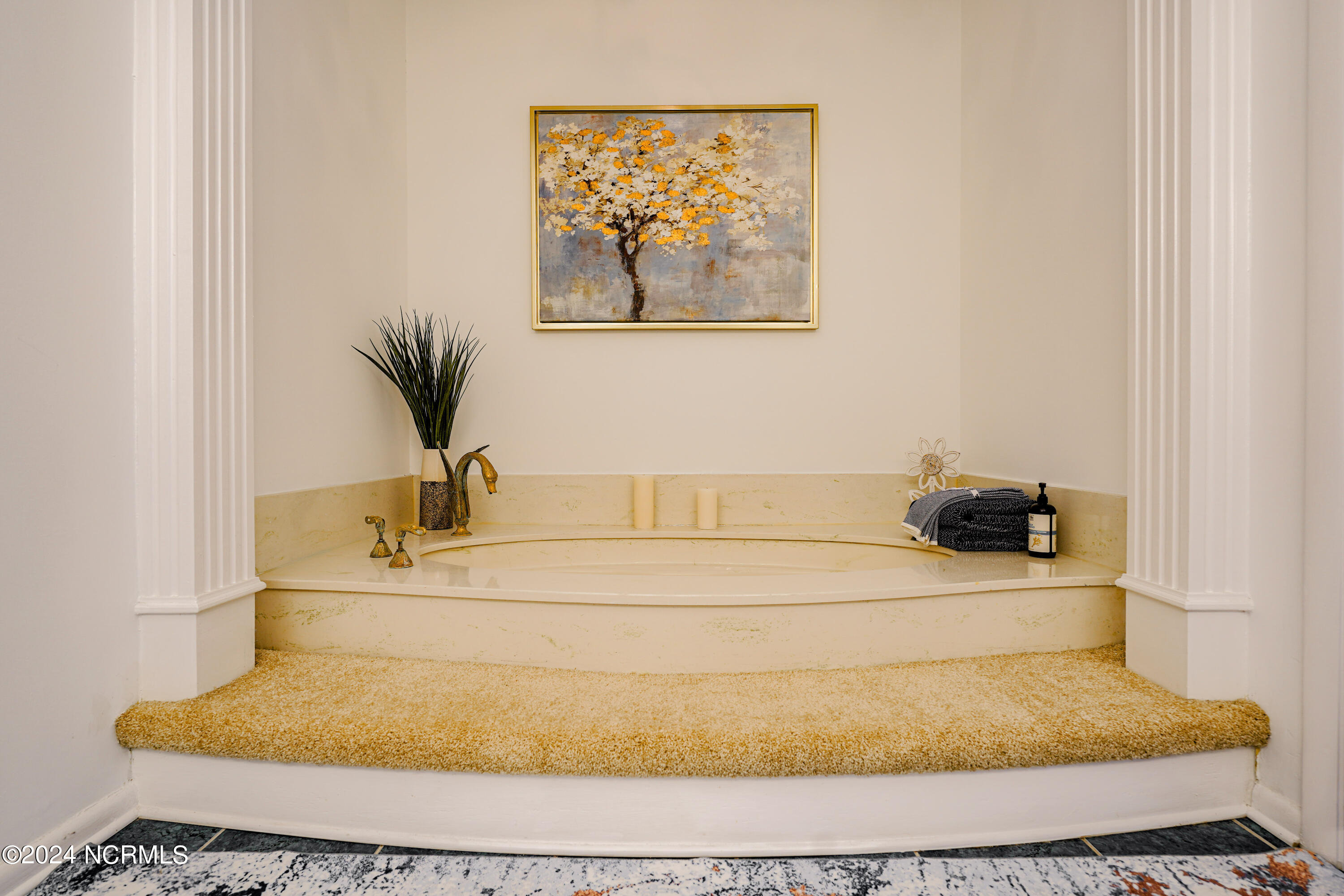 101 Elizabeth Drive Elizabethtown, NC 28337 - Photo 58 of 88 49-DSC00087