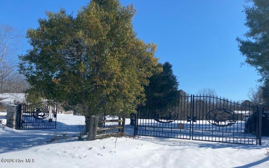 101 Elizabeth Drive Elizabethtown, NC 28337 - Photo 85 of 88 Double gates in snow