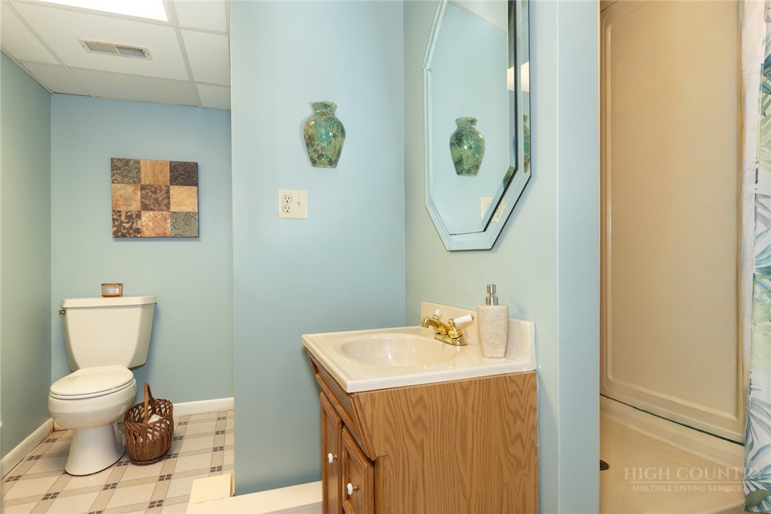 1335 Shingle Gap Road Purlear, NC 28665 - Photo 31 of 49 a bathroom with a toilet a sink and mirror