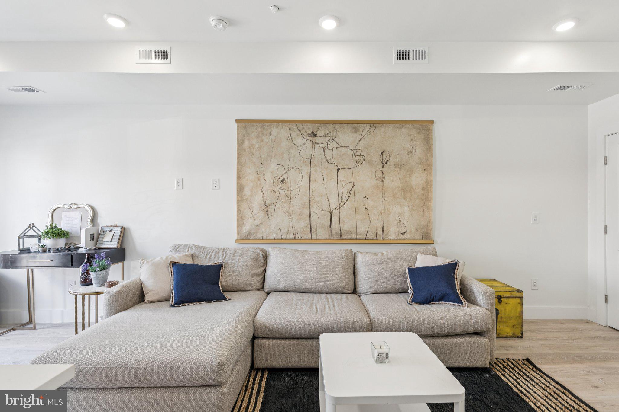 1602 Ridge Avenue, Unit 3 Philadelphia, PA 19130 - Photo 2 of 17 a living room with furniture a couch and a potted plant