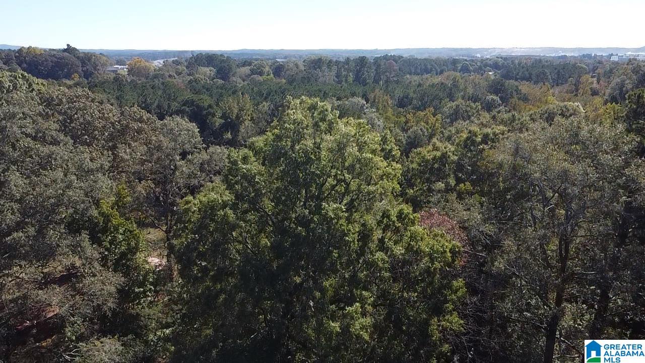 0 Odens Mill Road Sylacauga, AL 35151 - Photo 4 of 23