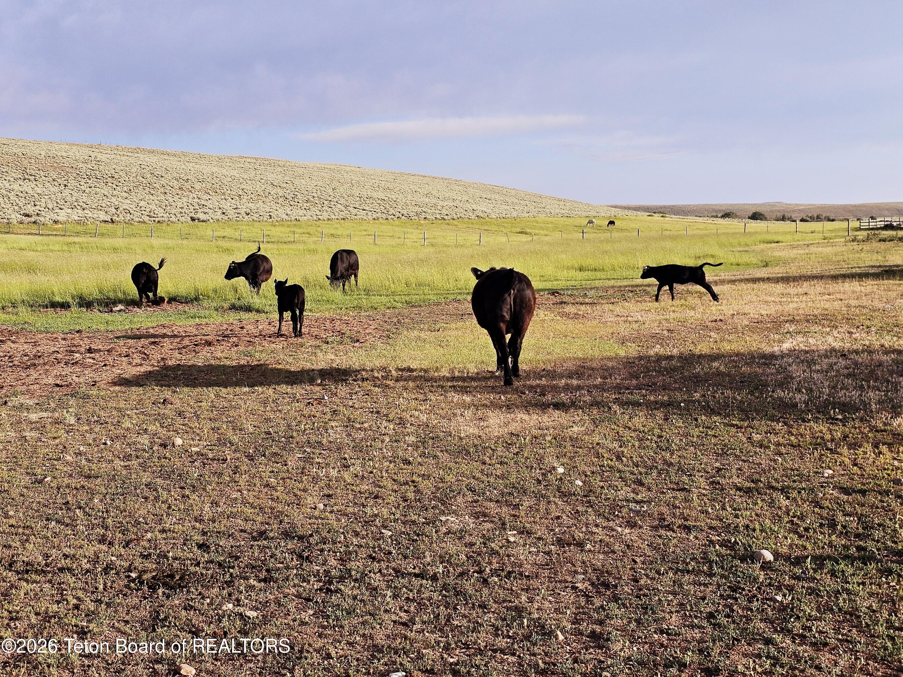 138-2 Forty Rod Road Pinedale, WY 82941 - Photo 70 of 77 20250719_192413