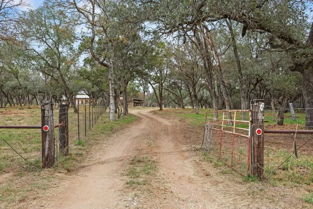 a view of a park with large trees