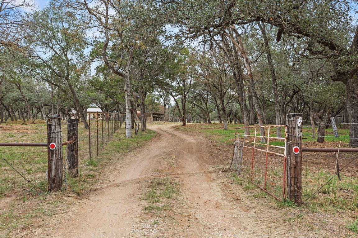 a view of a park with large trees