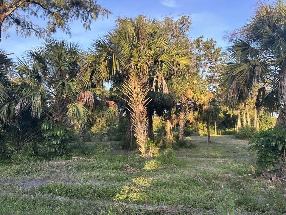14439 Collecting Canal Road Loxahatchee Groves, FL 33470 - Photo 2 of 4 a view of outdoor space with trees