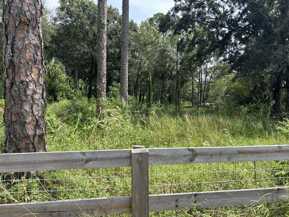 14439 Collecting Canal Road Loxahatchee Groves, FL 33470 - Photo 3 of 4