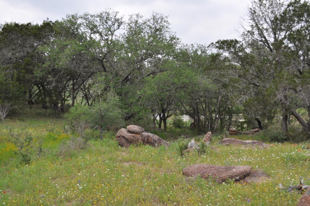0 Watson Way Hye, TX 78635 - Photo 11 of 11