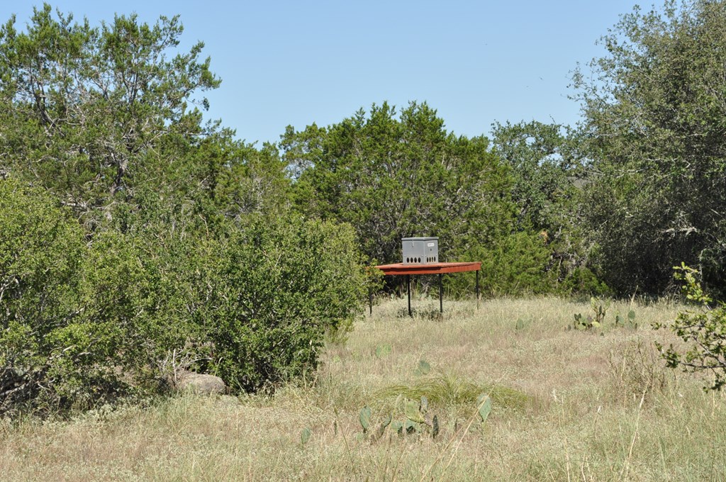 0 Watson Way Hye, TX 78635 - Photo 3 of 11