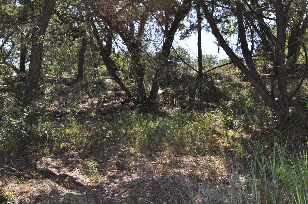 0 Watson Way Hye, TX 78635 - Photo 5 of 11