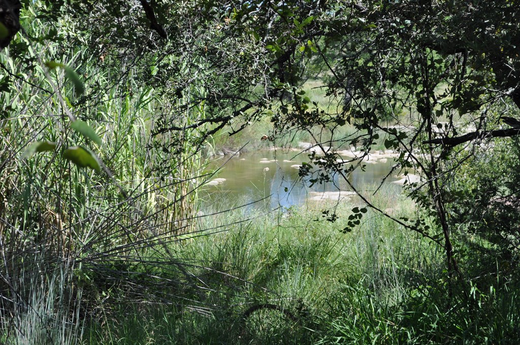 0 Watson Way Hye, TX 78635 - Photo 6 of 11