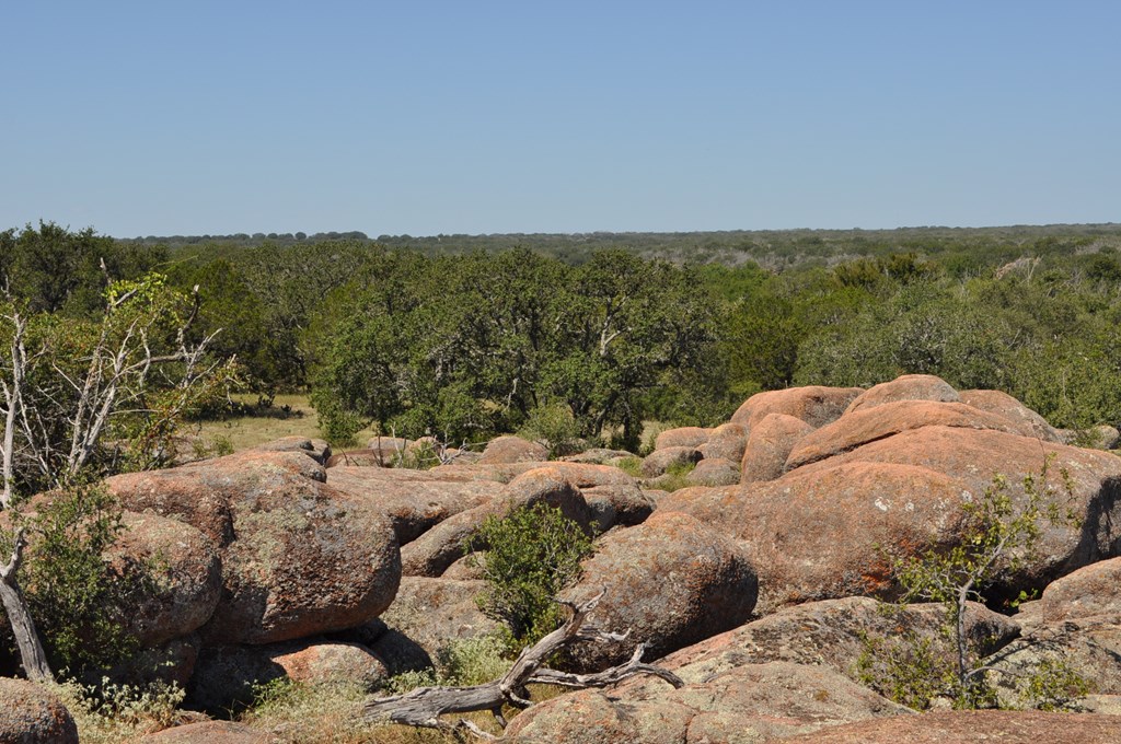 0 Watson Way Hye, TX 78635 - Photo 7 of 11