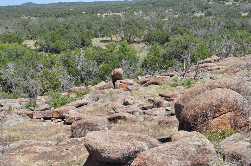 0 Watson Way Hye, TX 78635 - Photo 8 of 11