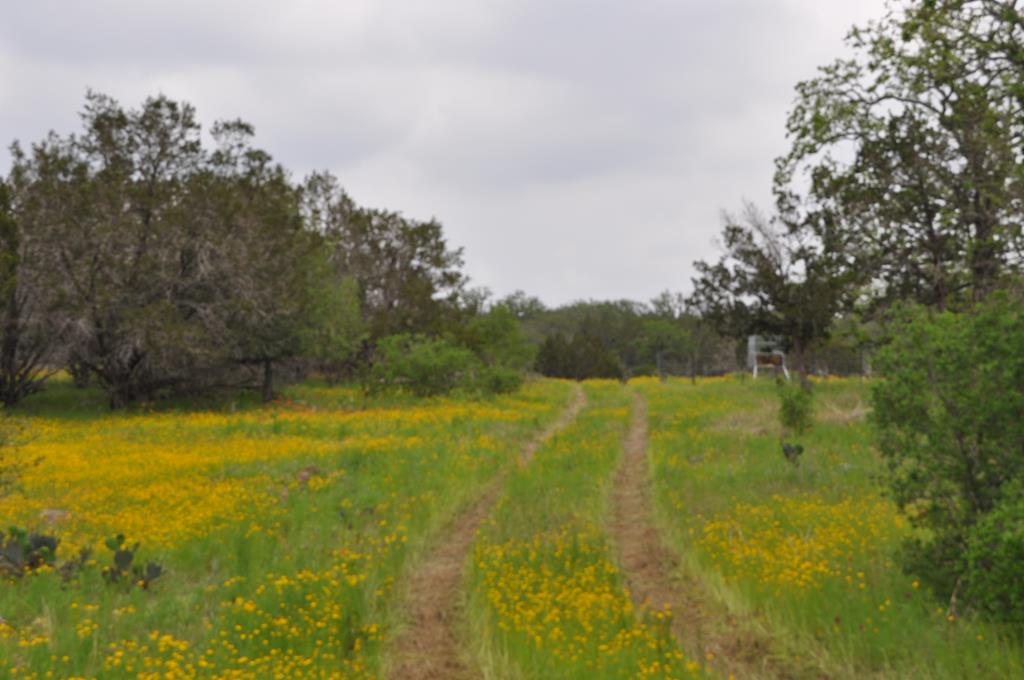 0 Watson Way Hye, TX 78635 - Photo 10 of 11