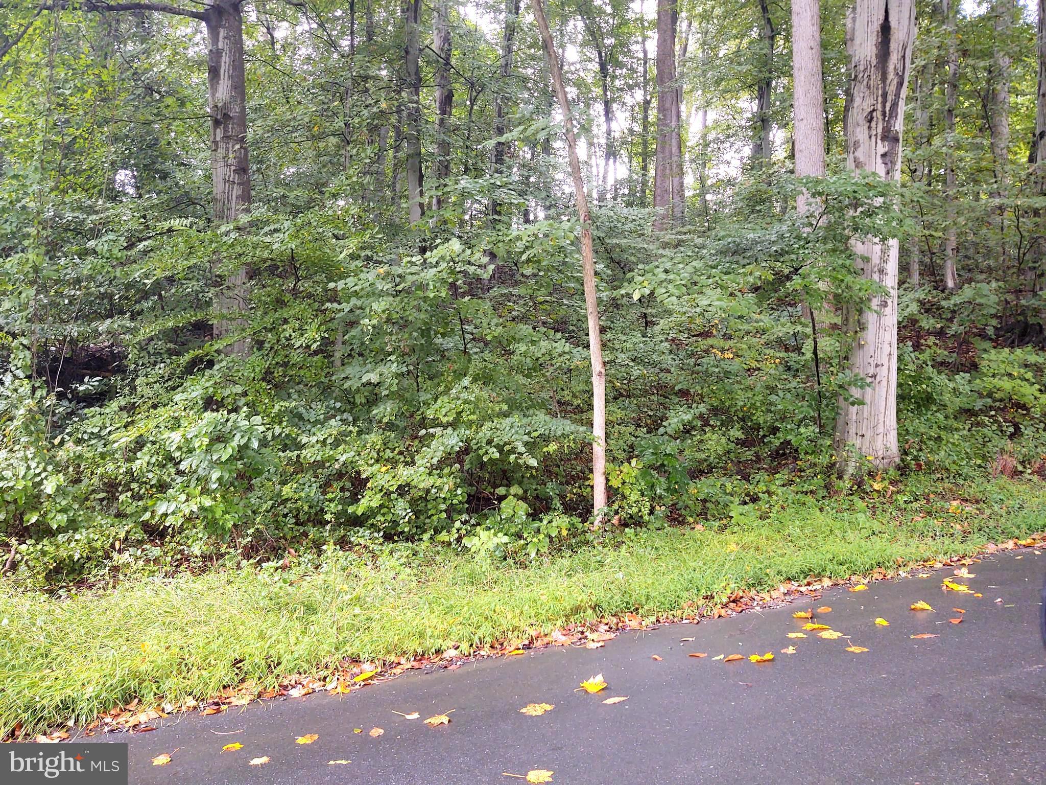 126-127 Codjus Drive Rising Sun, MD 21911 - Photo 3 of 4 a backyard of a house with lots of green space and outdoor seating