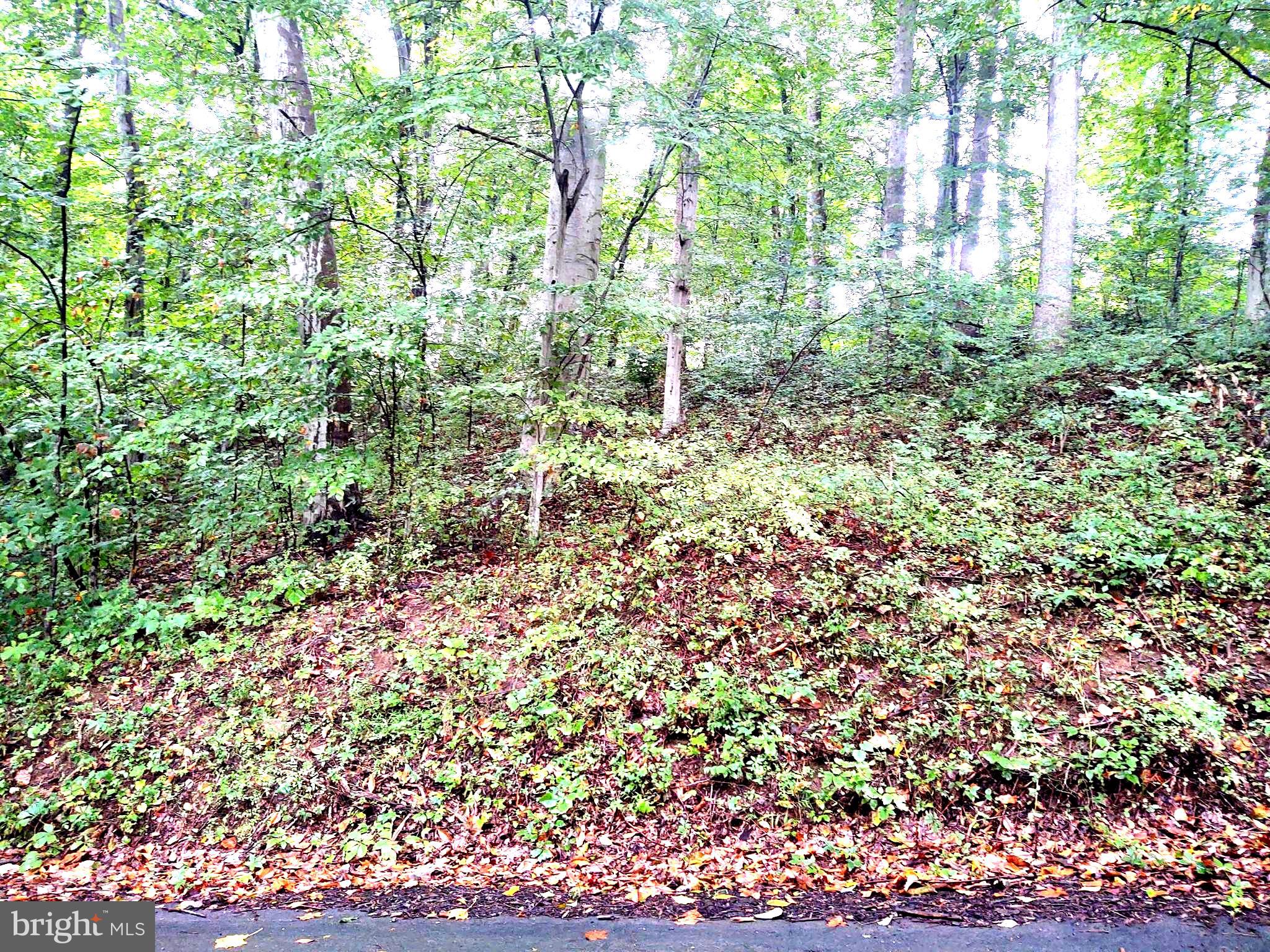 126-127 Codjus Drive Rising Sun, MD 21911 - Photo 4 of 4 a view of yard