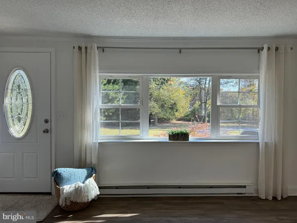 a room with a window and a potted plant