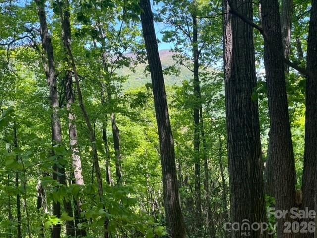 0 Soco Road Maggie Valley, NC 28751 - Photo 16 of 26