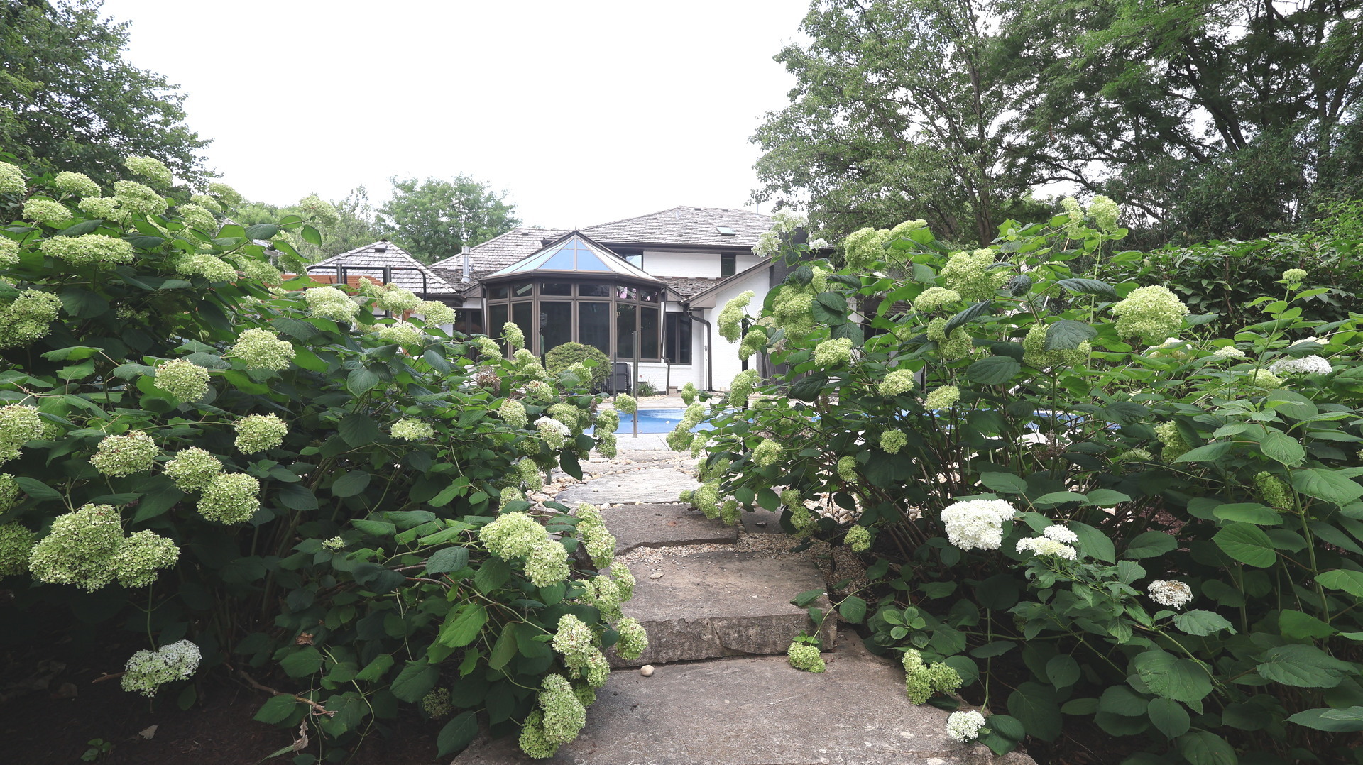 2221 Donegal Drive Darien, IL 60561 - Photo 15 of 62 a view of a garden with plants