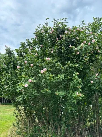 $825,000 | 10200 County Hwy Y, Mazomanie, WI 53560