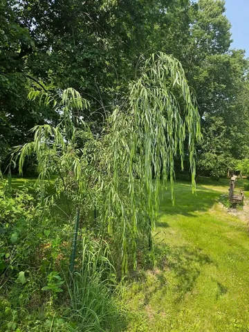 $825,000 | 10200 County Hwy Y, Mazomanie, WI 53560