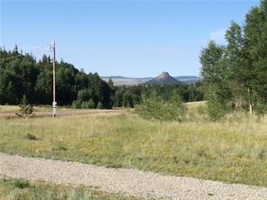 2071 Al Gulch Road Jefferson, CO 80456 - Photo 2 of 25 a view of a yard