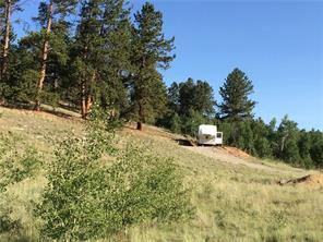 2071 Al Gulch Road Jefferson, CO 80456 - Photo 11 of 25 a pathway of a yard