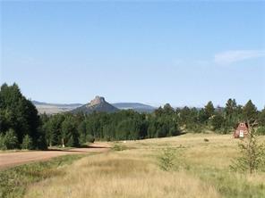 2071 Al Gulch Road Jefferson, CO 80456 - Photo 12 of 25 a view of a yard and mountain view